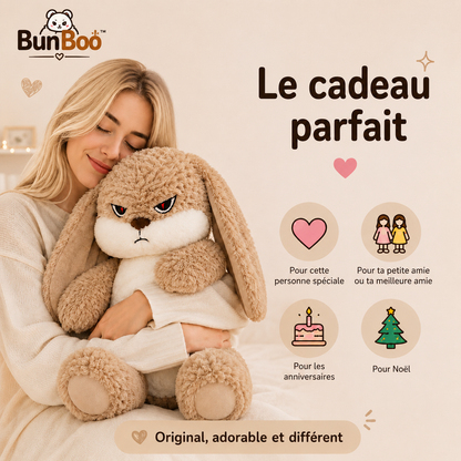peluche Ronchon