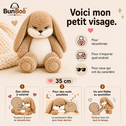 peluche Ronchon
